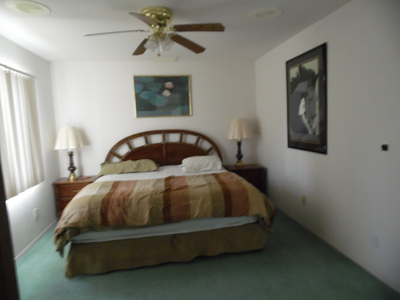 Copper Canyon Realty Rental and For Sale Properties in Lake Havasu City