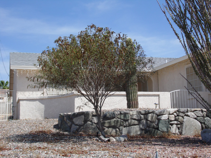 Copper Canyon Realty Rental and For Sale Properties in Lake Havasu City